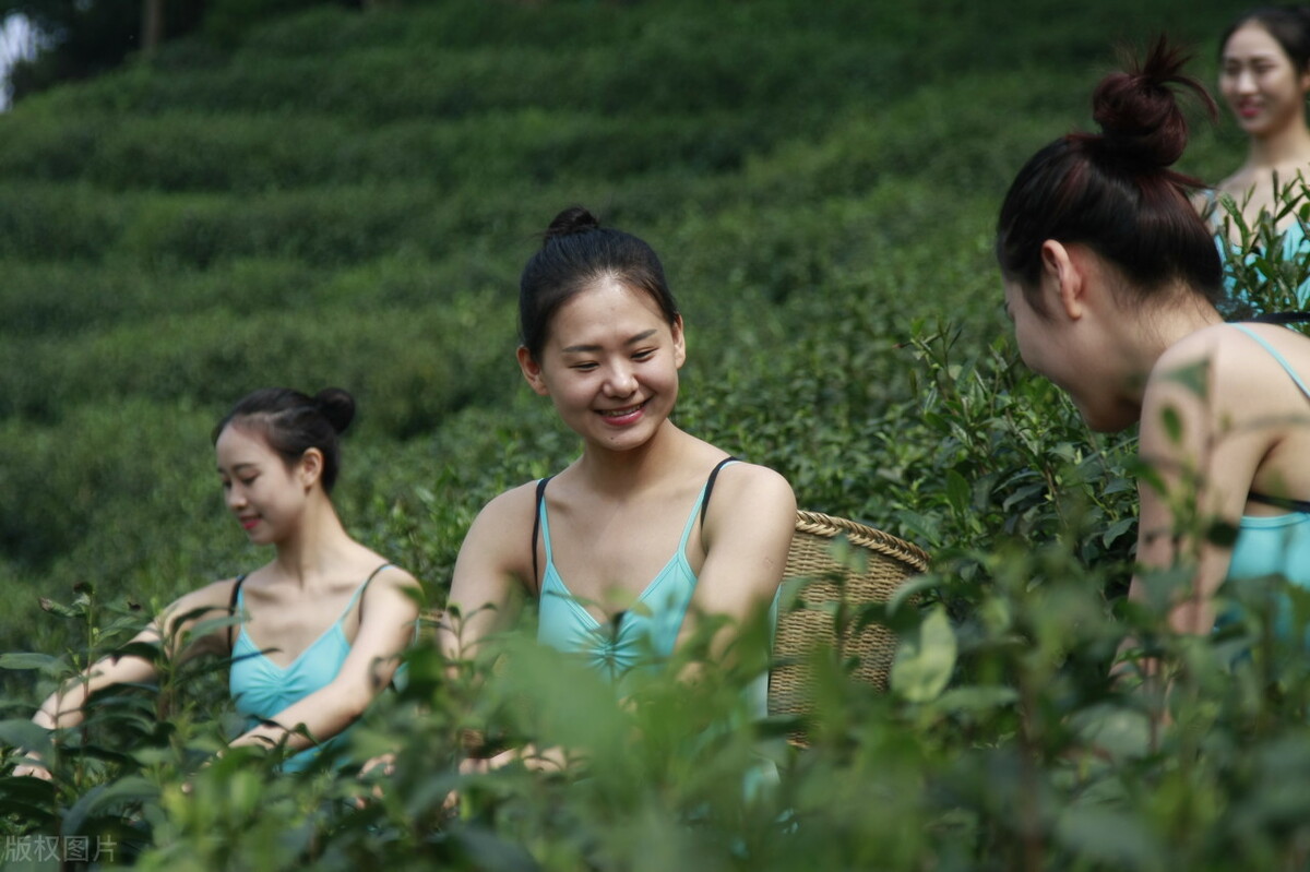 Top 10 Chinese teas in the world, which one makes you the most proud iNEWS