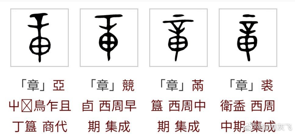 Thinking: In the ancient Jiangnan area, what kind of camphor tree was ...