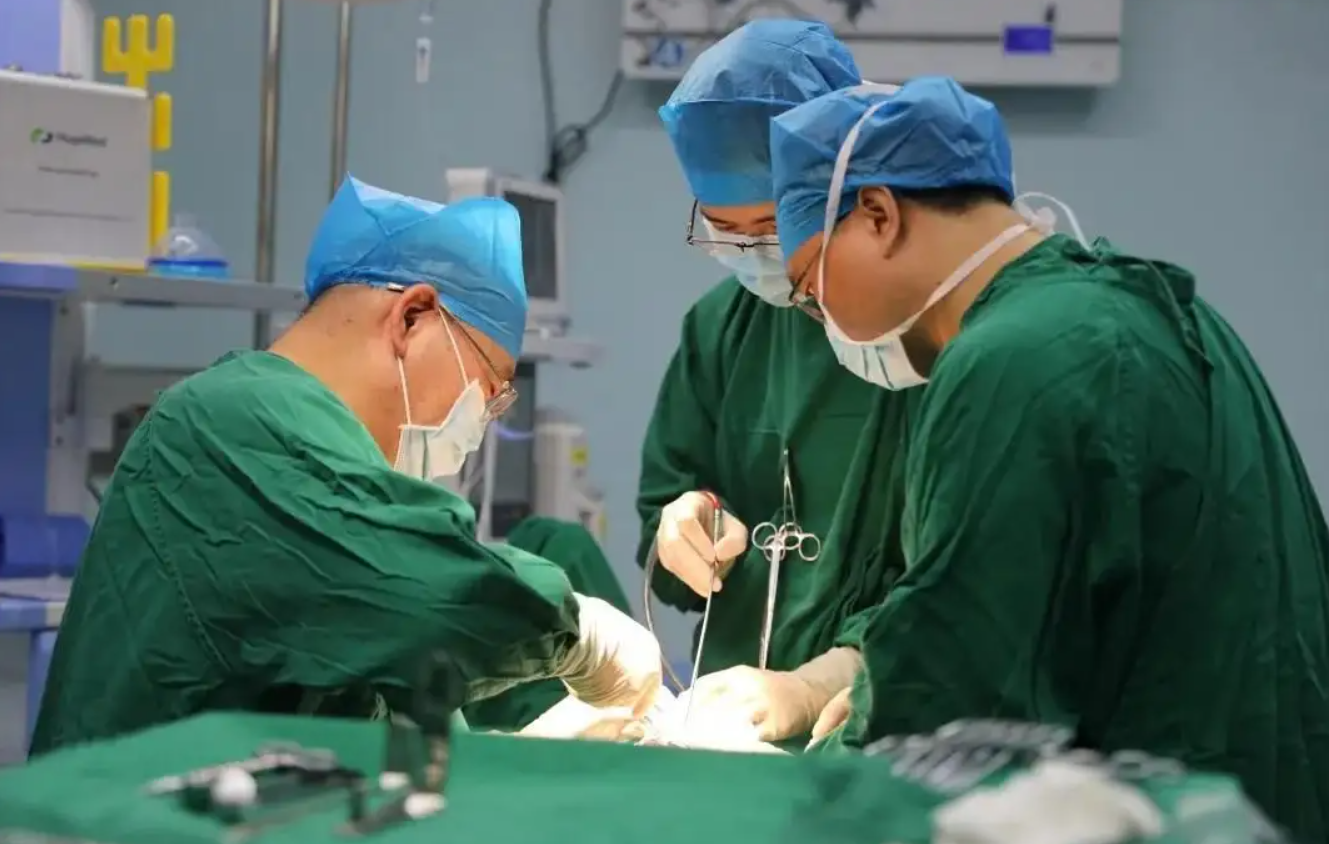 He Chengxi: What happened after spending 8 million plastic surgery to ...