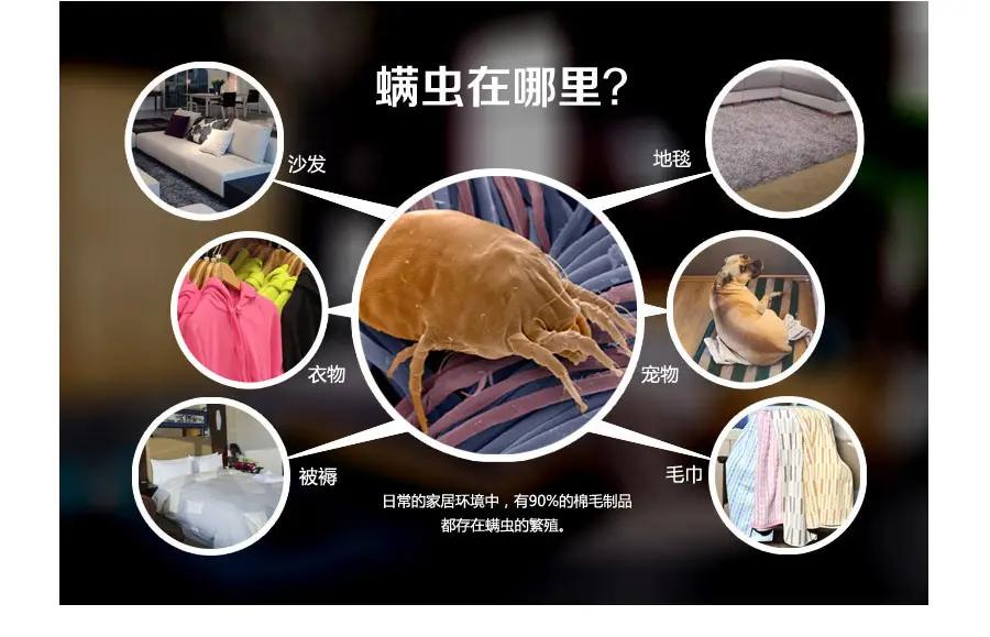 Solve the problem of removing mites while doing laundry, let Yunmi AI