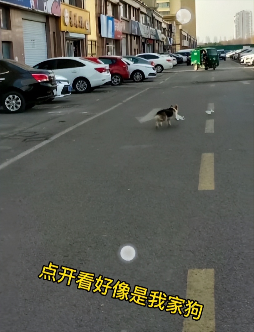 The little brother at the post station helped the woman detain the lost