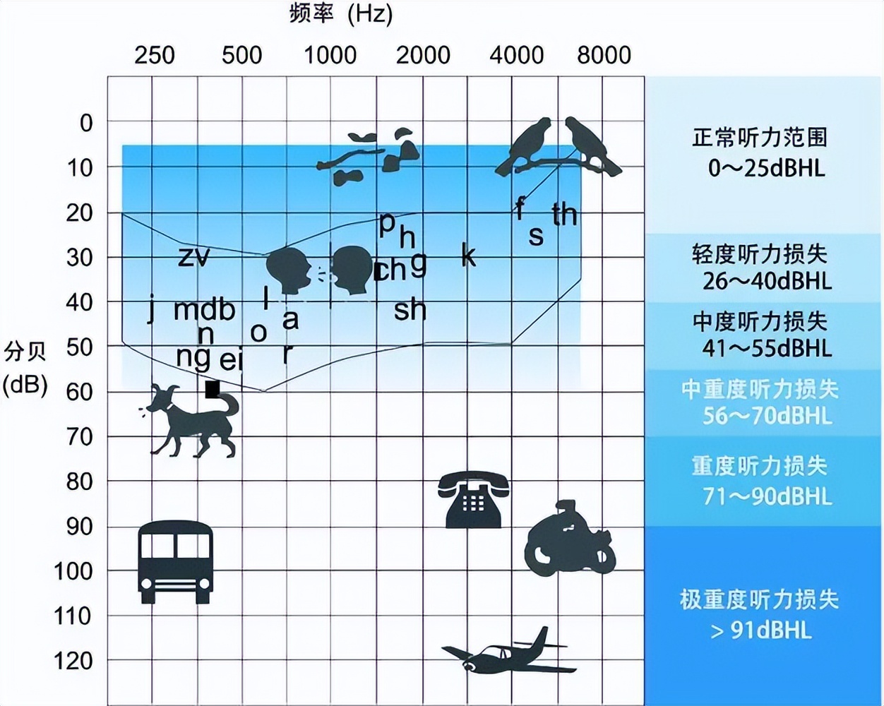 What is the difference between normal hearing and impaired hearing? - iNEWS