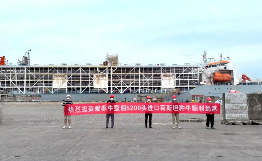 Top 10 youngest dairy companies in the world with high quality, good brand and high moral