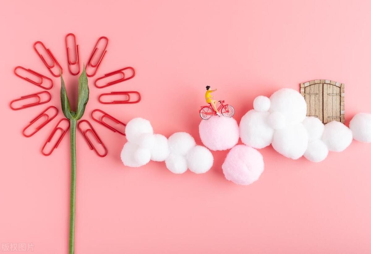 Iron pan VS nonstick pan, which one cooks more deliciously? iMedia