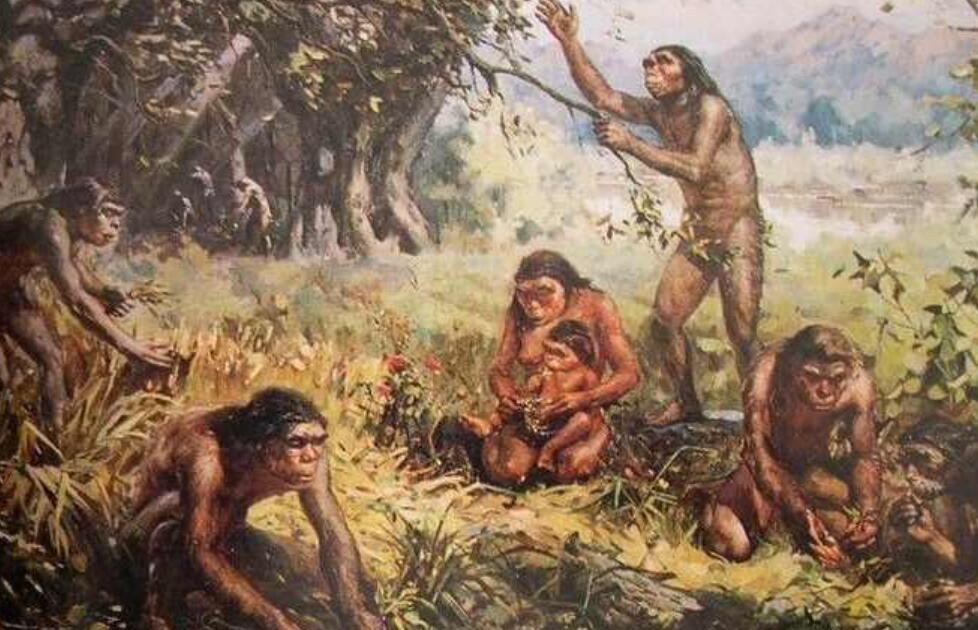 Animals have a fixed breeding season, why don't humans?Why do humans hide their ovulation period