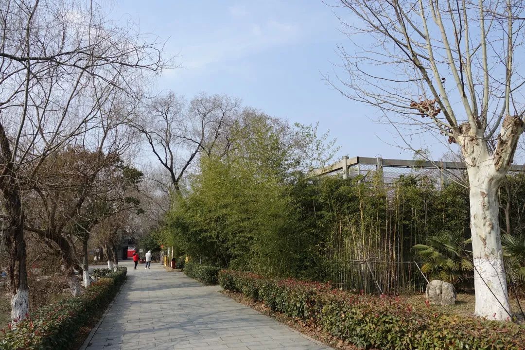 Being the same is always disappointing: Lianyungang Xinpu Park Zoo - iNEWS