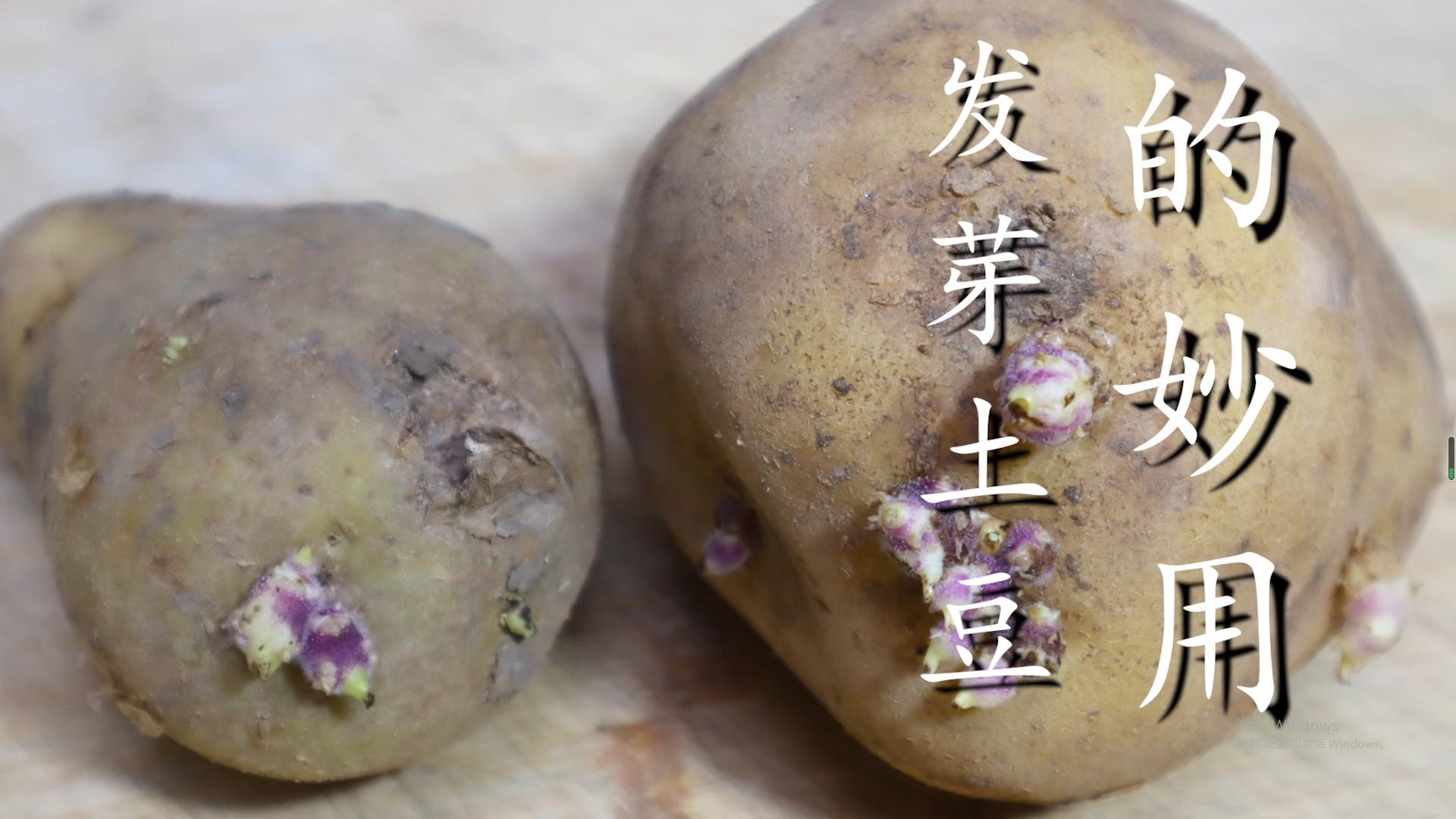 Don't throw away sprouted potatoes, teach you these 3 magical uses