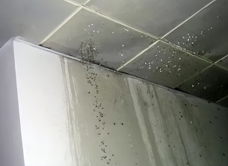 Why is the bathroom ceiling leaking?What should I do if the bathroom