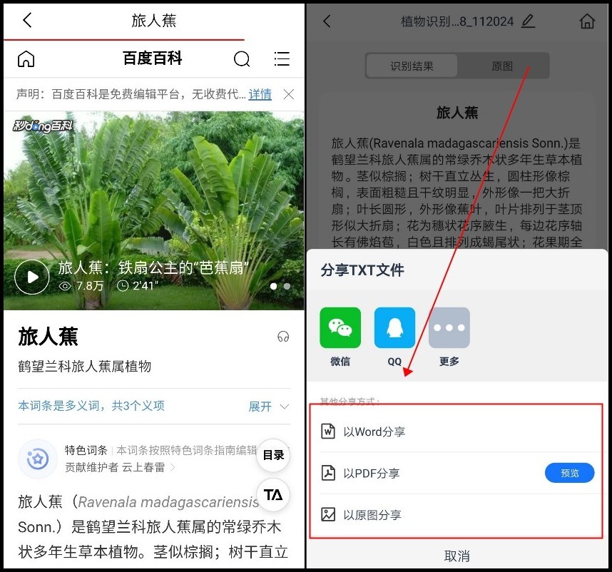 How to identify plants online? Tips for Identifying Plants Online iMedia