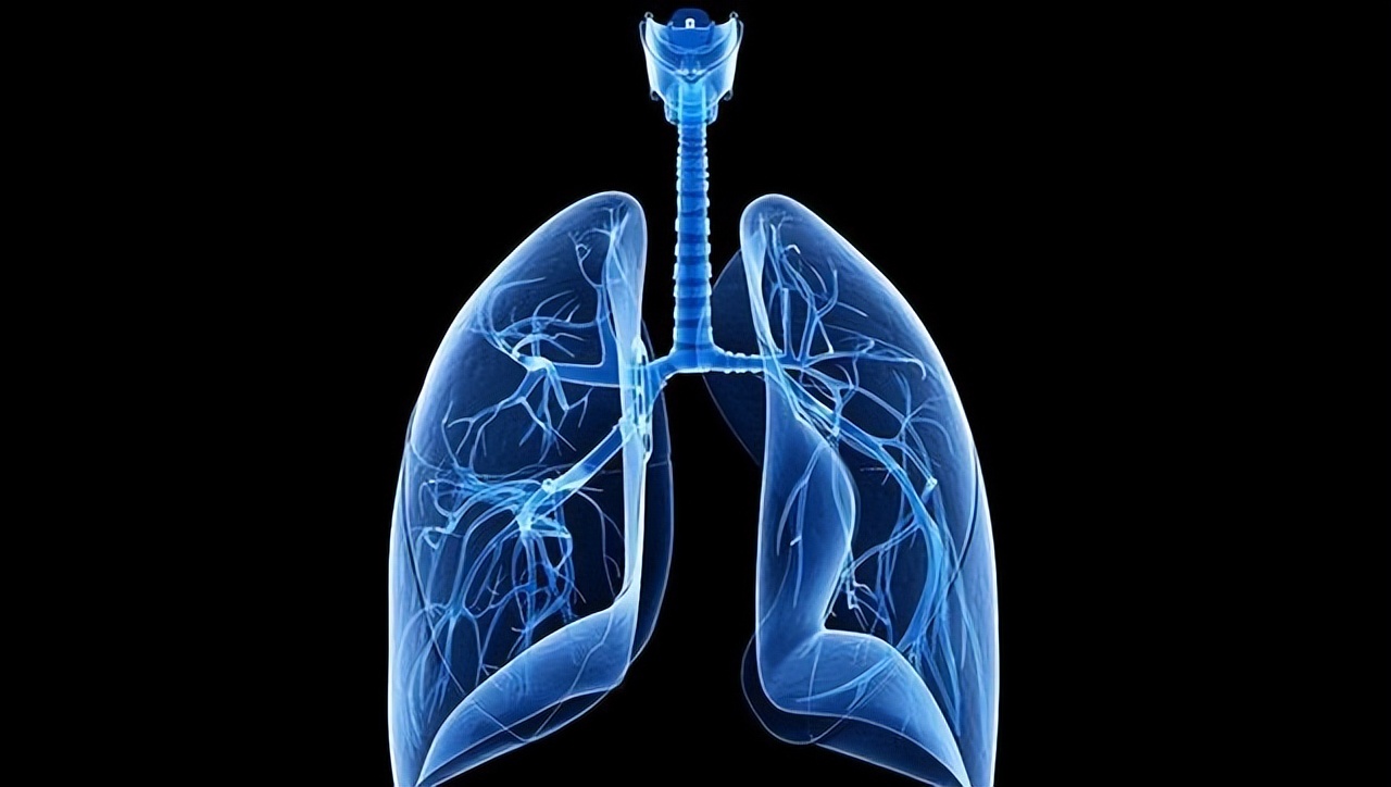 Are eggs the "hair" of lung nodules?Reminder If you want to nourish