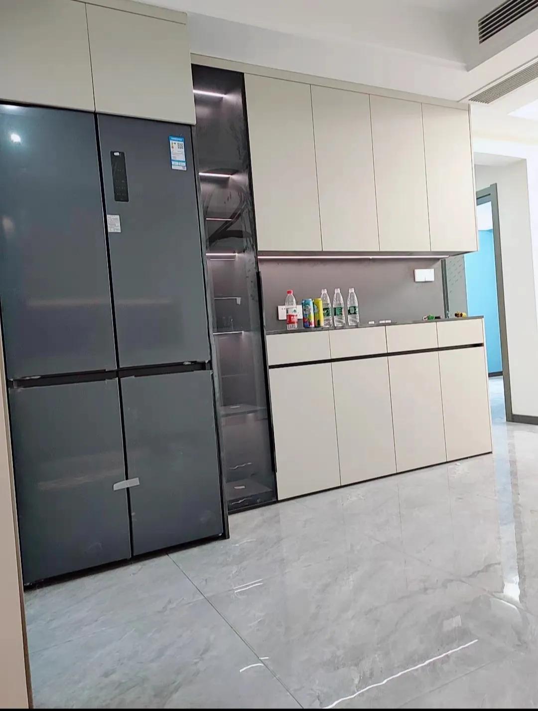 I chose two refrigerators for you with your eyes closed iNEWS