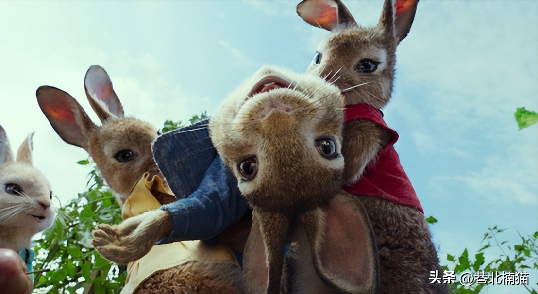 Unforgettable childhood memories: A group of cute little rabbits dared ...