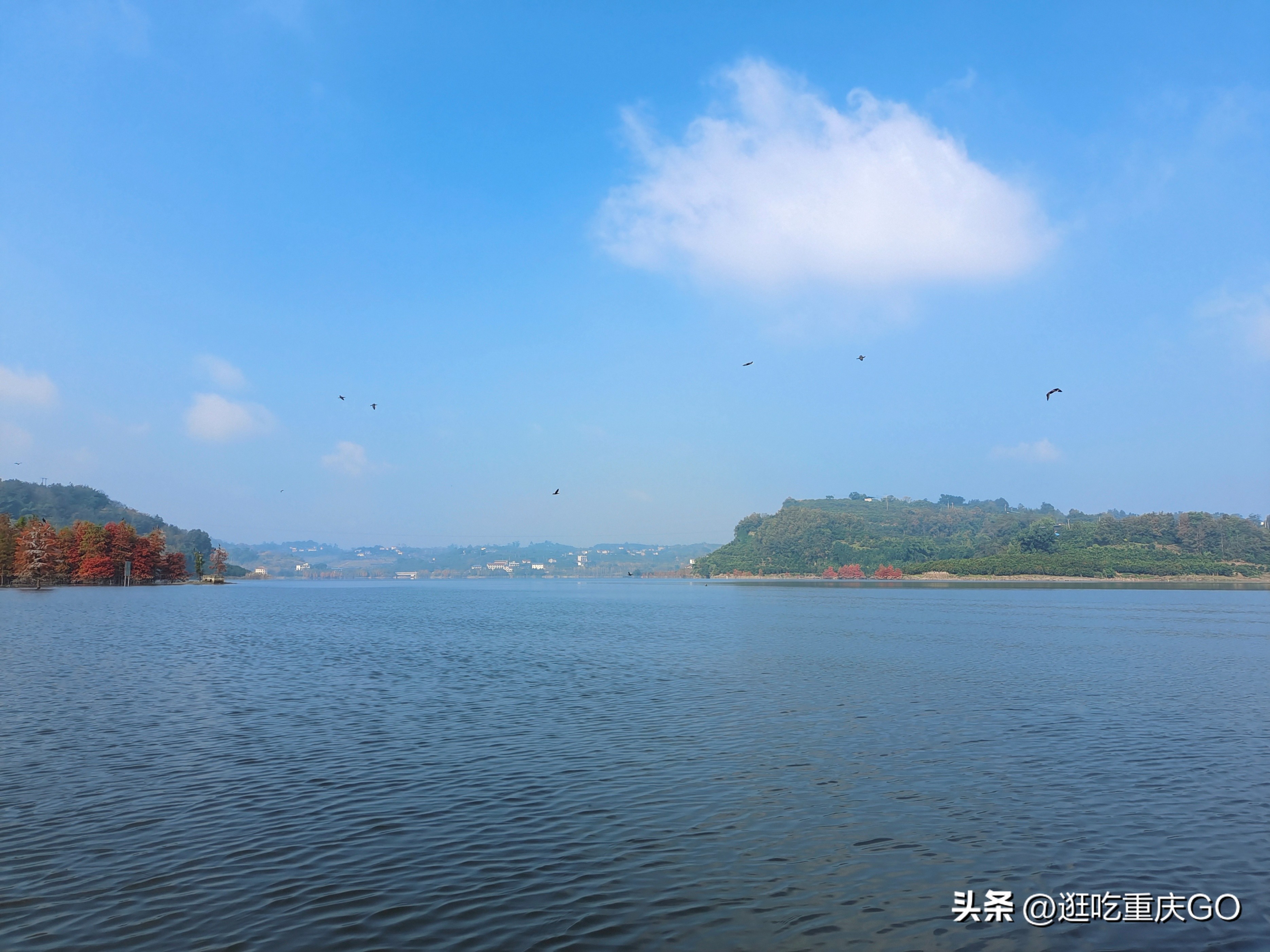 The largest artificial lake in Southwest China - Changshou Lake, is ...