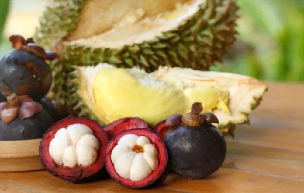 Are durian and mangosteen a perfect match? - iNEWS