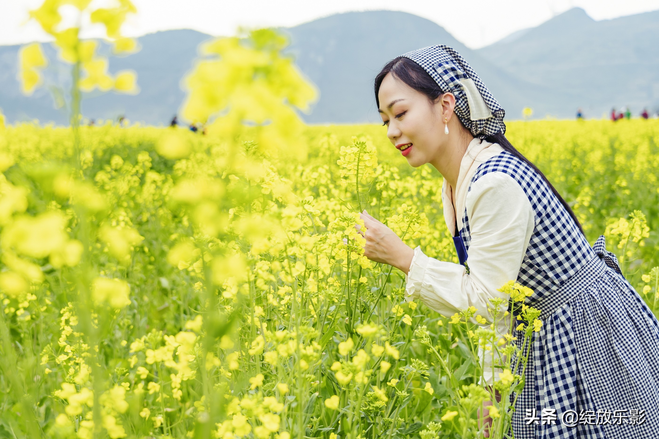 三月花簇簇 平和村油菜花开了 资讯咖