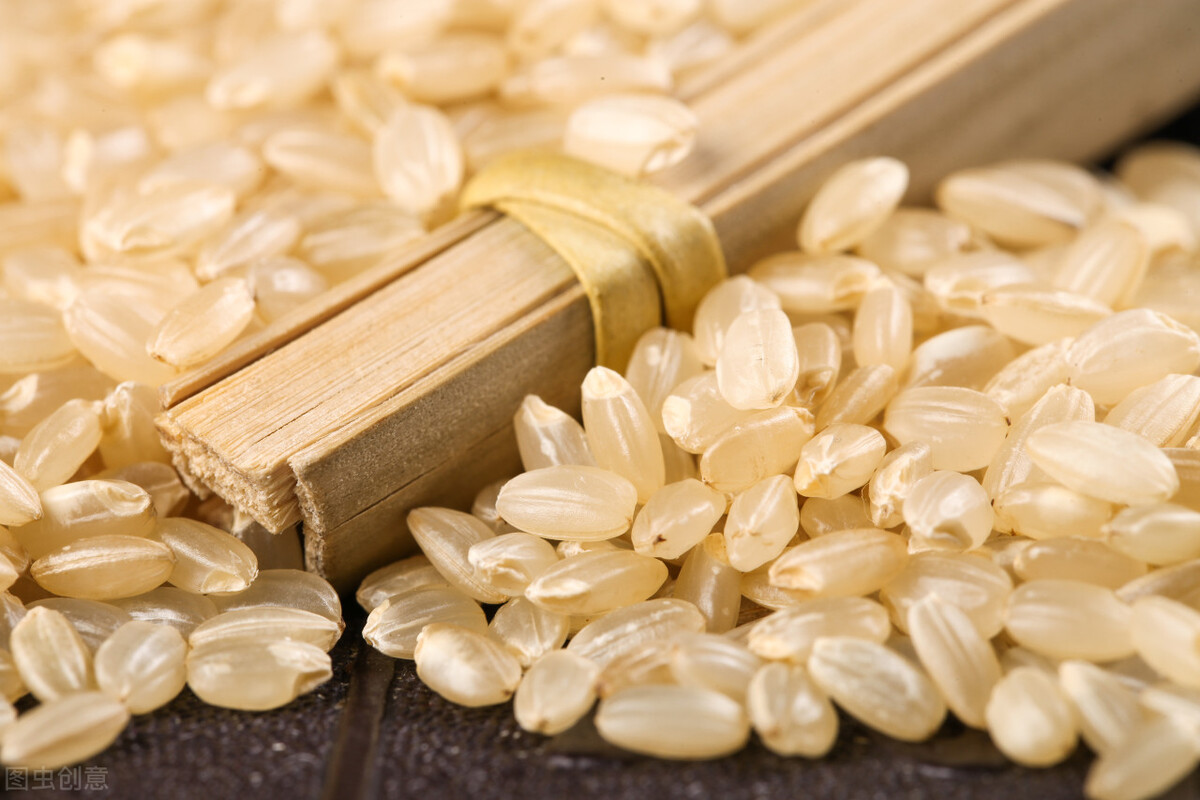 What is the difference between germ rice and white rice and brown rice ...