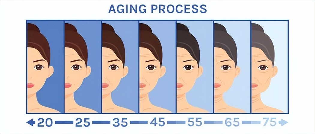 Stem cells help restore youthful skin and effectively fight aging - iNEWS