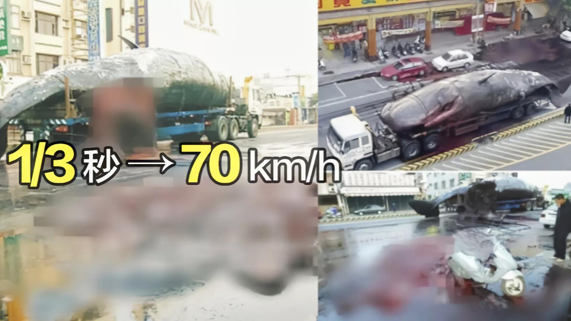 In 2004, why did the sperm whale with a length of 17 meters and a weight of 55 tons explode in