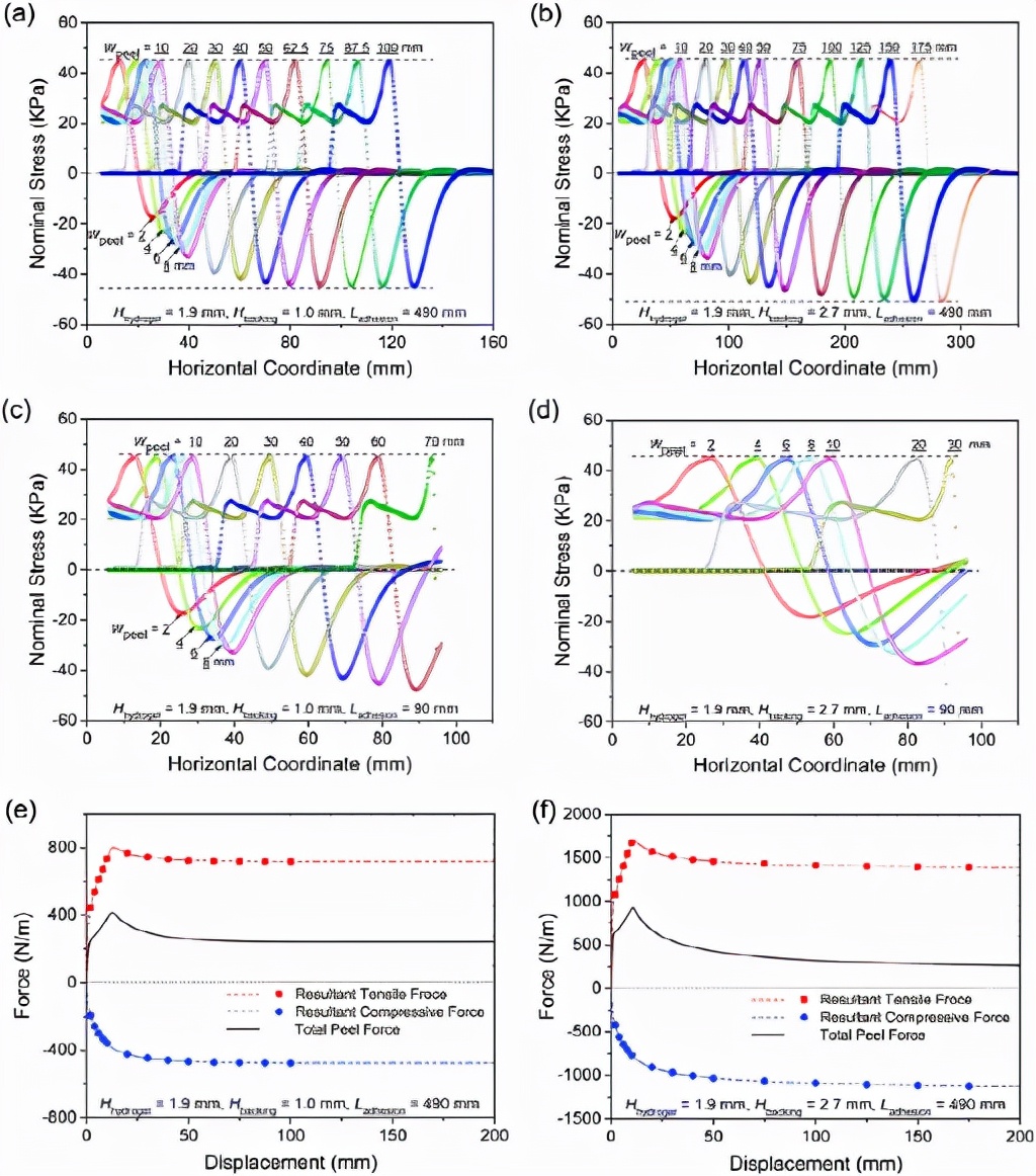 Southern University of Science and Technology Yang Canhui Soft Matter ...