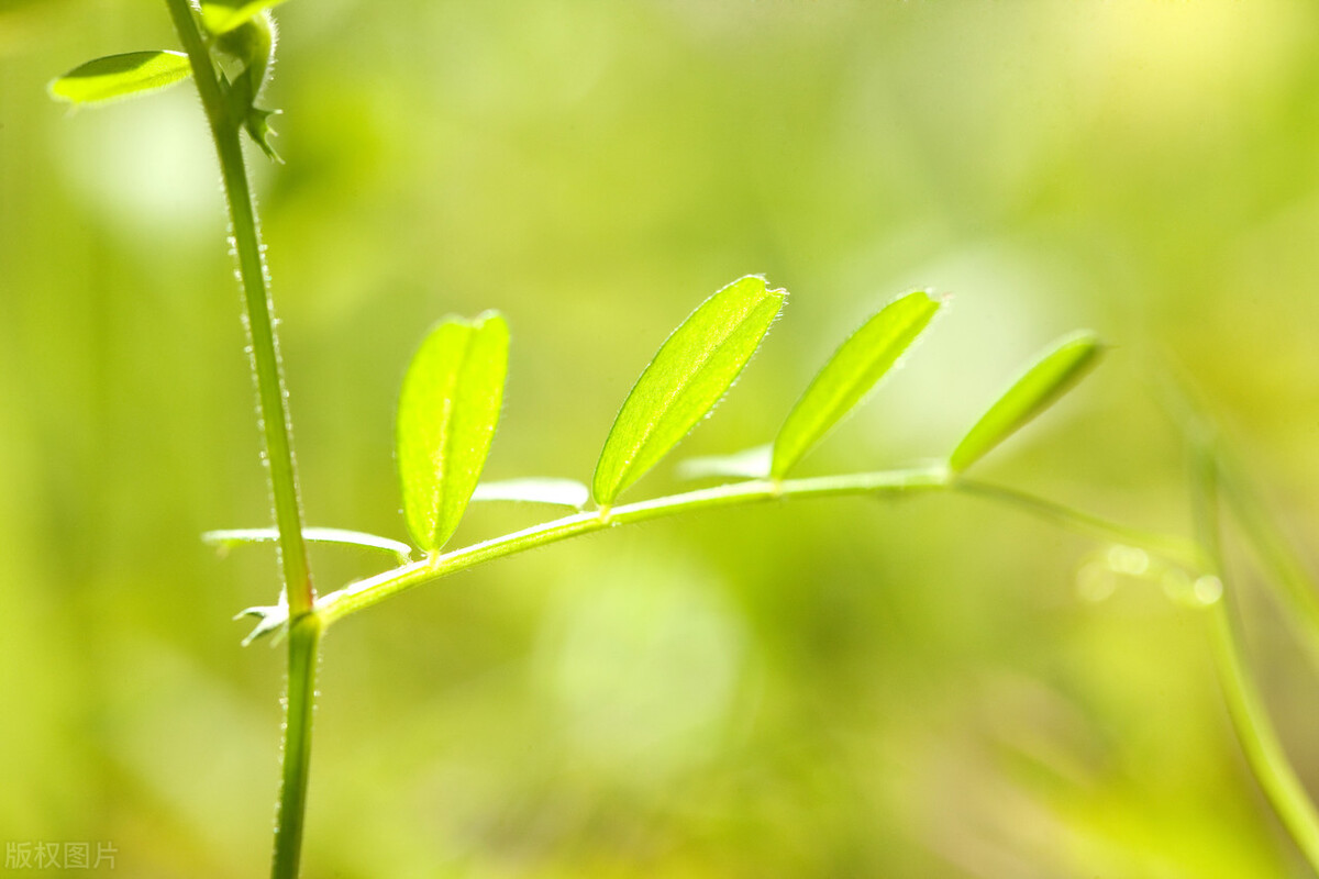 Precautions for Spring Travel iNEWS