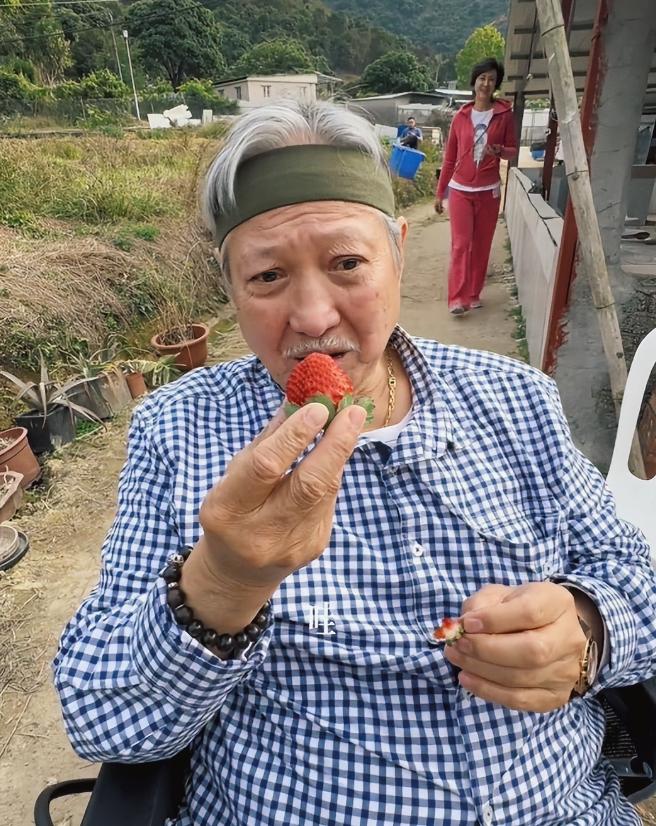 71yearold Sammo Hung is so leisurely with his grandchildren, his life