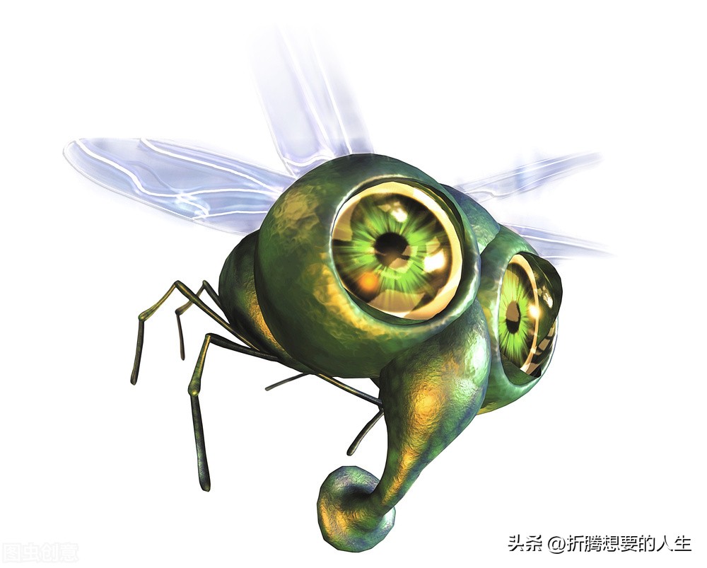 Why don't 'dirty' flies get sick? iNEWS