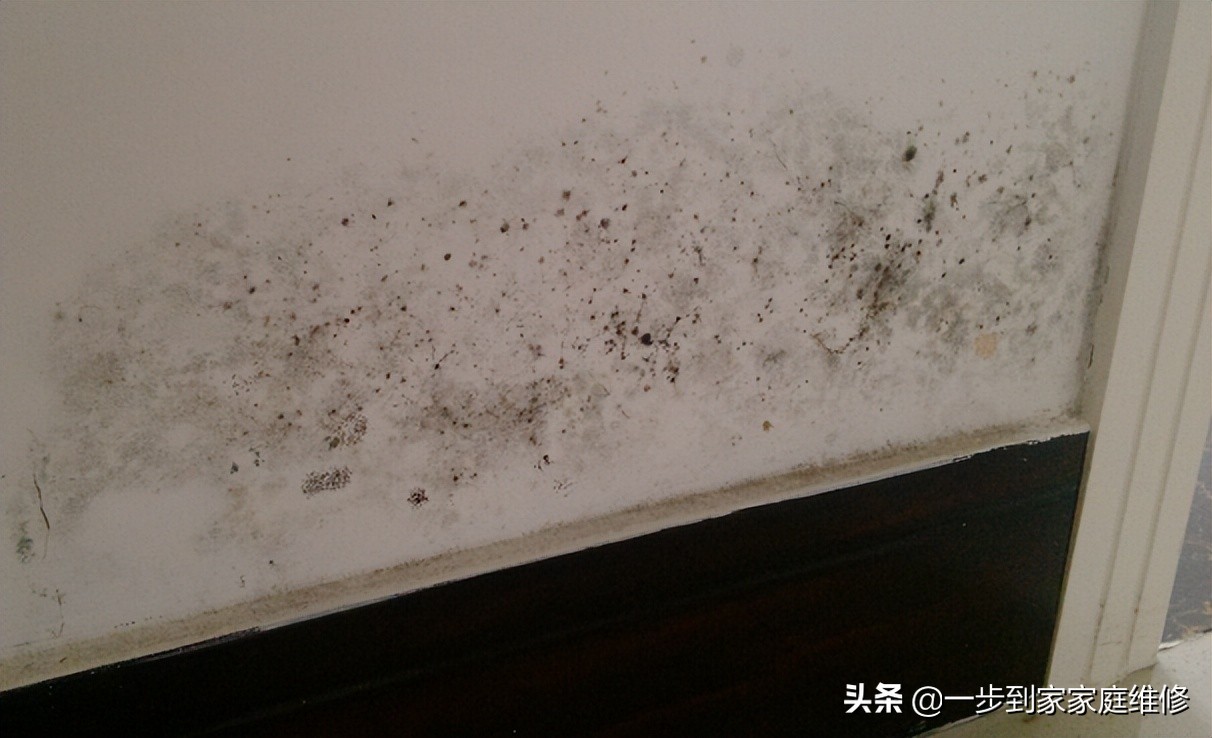 How to renovate moldy walls iNEWS