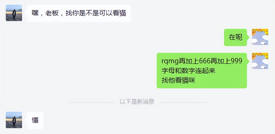 Which website to buy cats online is legitimate, and what are the