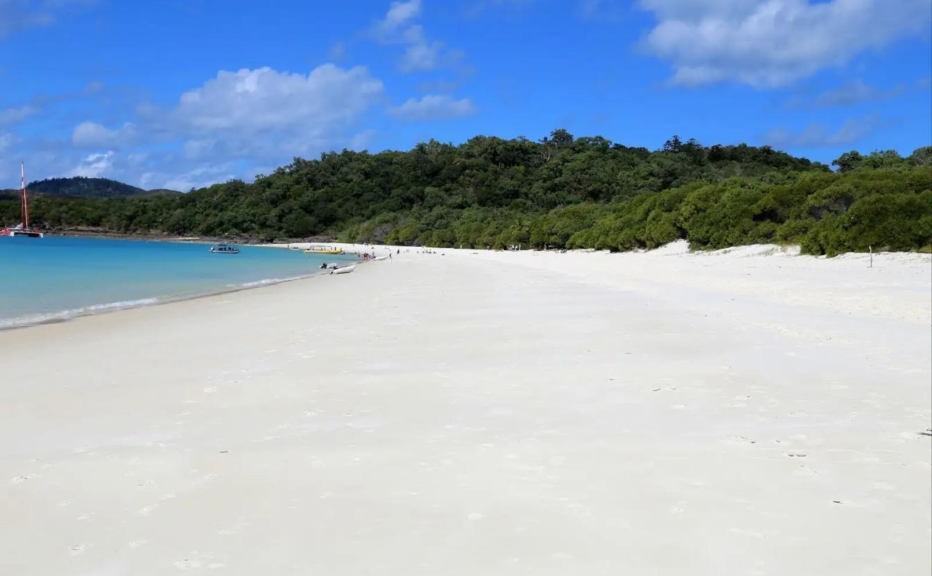 Whitening and white biological beach in the Paracel Islands - iNEWS