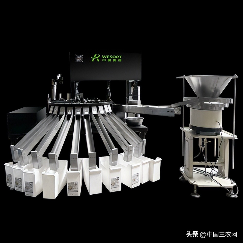 How to choose walnuts with full grain and bright color?Zhongrui Weishi