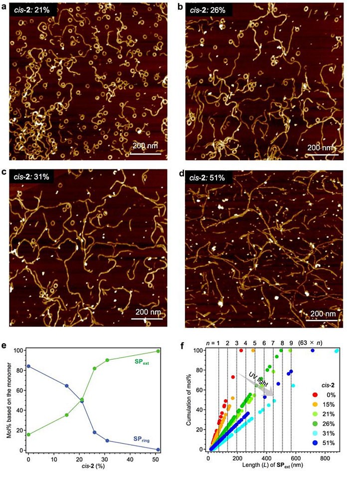 supramolecular polymer brushes iNEWS