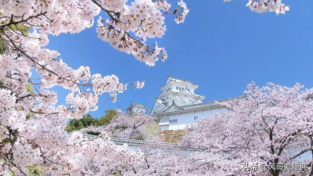 Kiichiro Kanda, "History of Japanese Lyrics" iNEWS