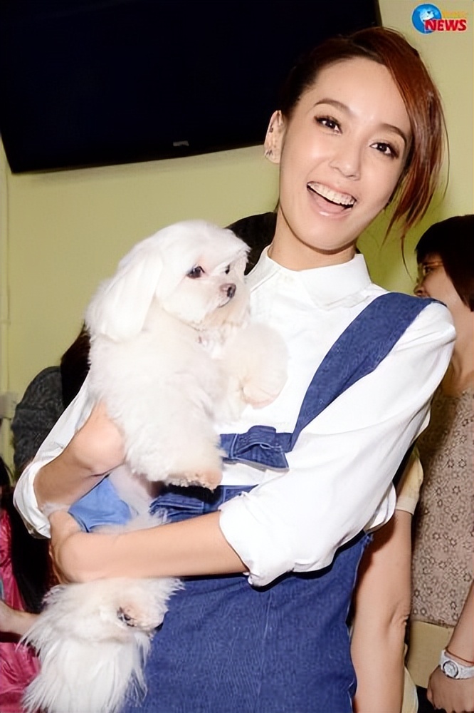 Hu Yuwei and Chen Tingni registered their marriage in New York, and ...