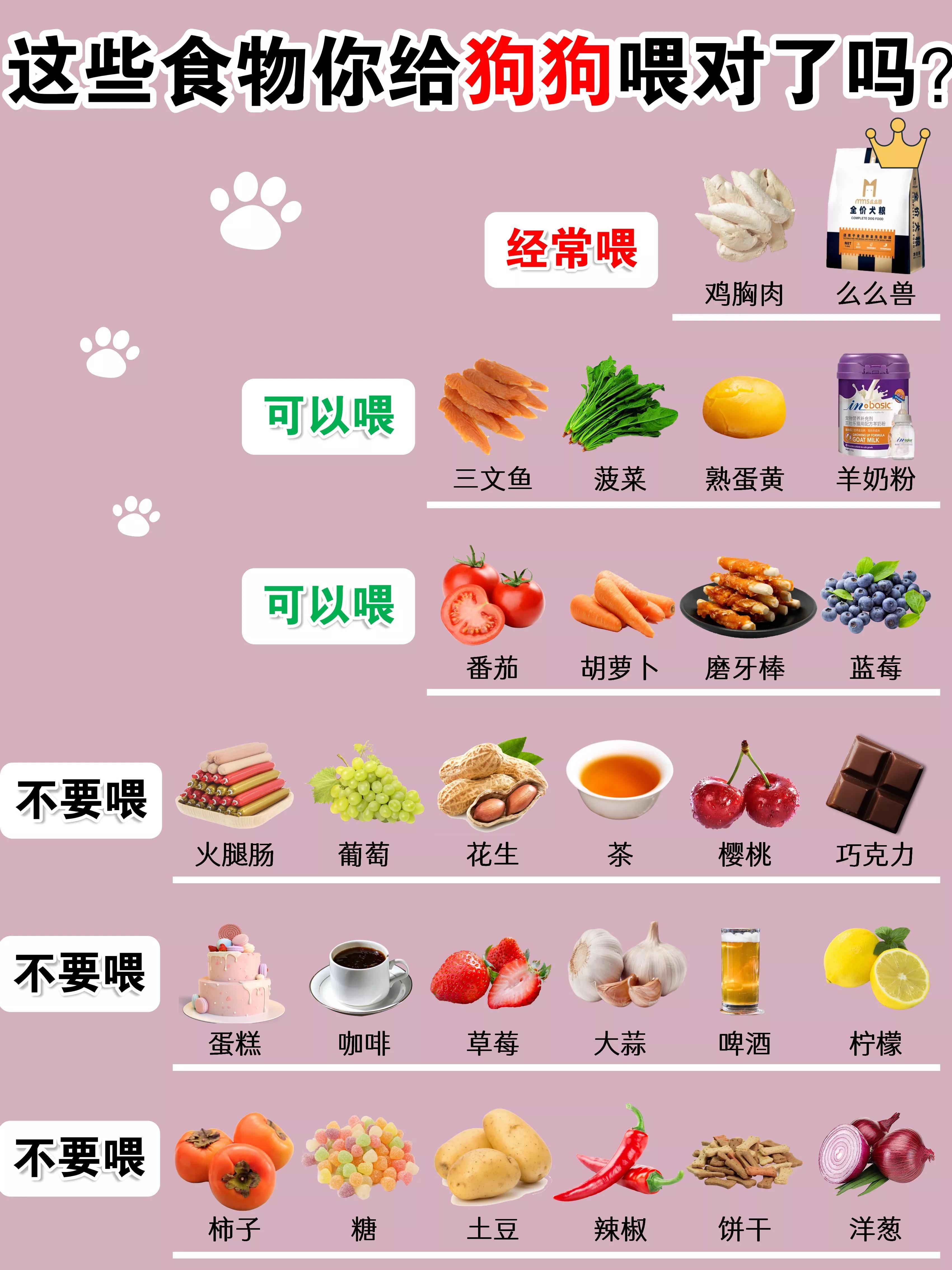 Do not feed these foods to dogs, or you will regret it. iNEWS