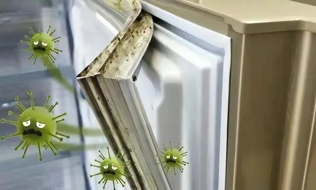 Is the refrigerator seal moldy and still rubbing with water?Learn to do