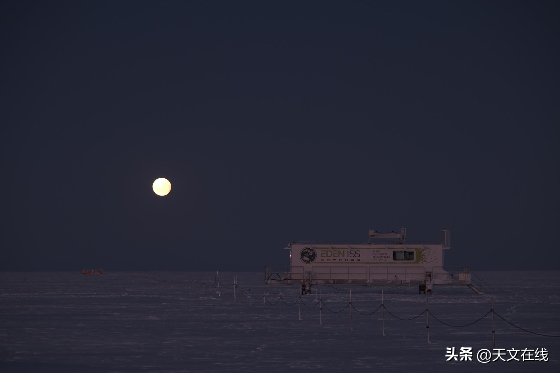The harvest of Antarctic greenhouses, the herald of Mars migration, may