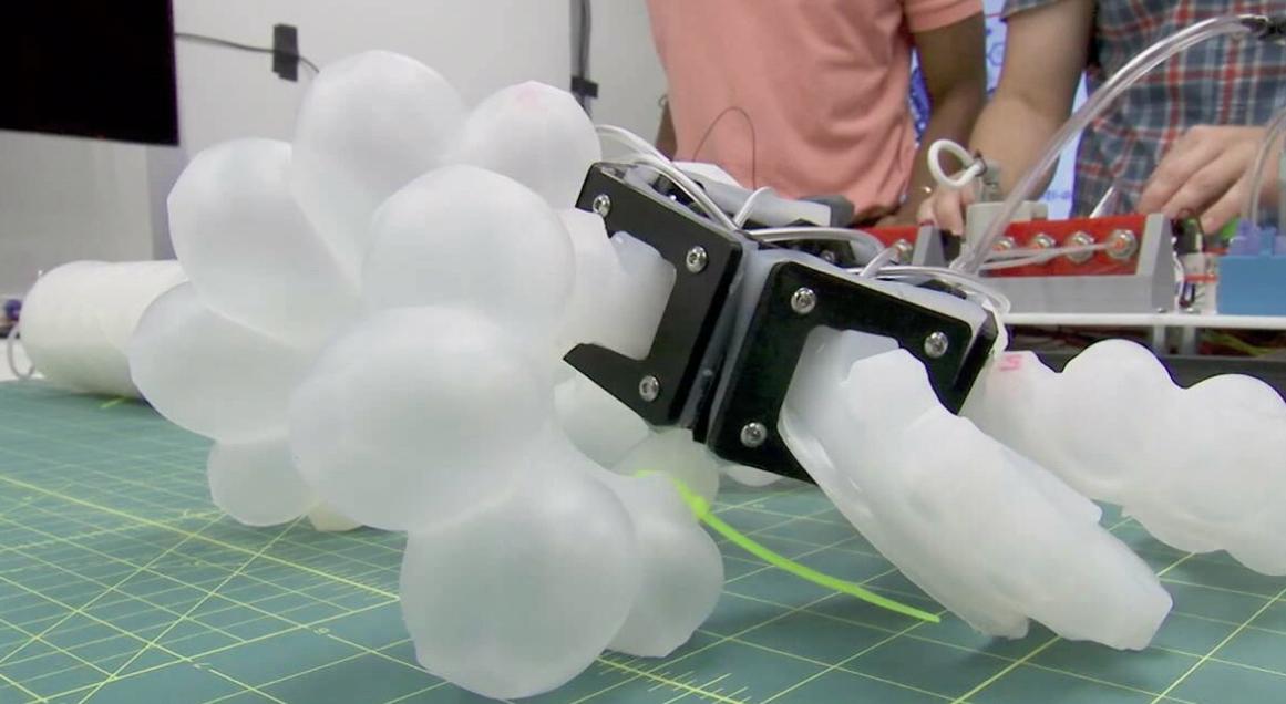 Vines are good for nothing? The bionic robot developed based on vines ...