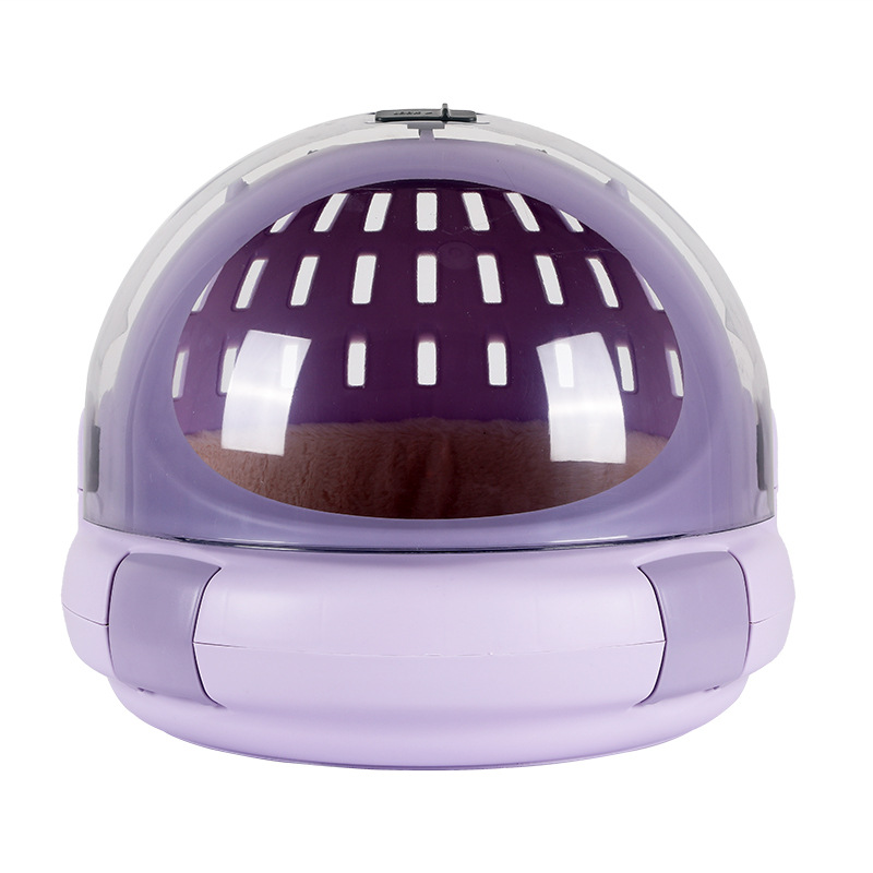 Where to buy pet supplies at the cheapest price iNEWS