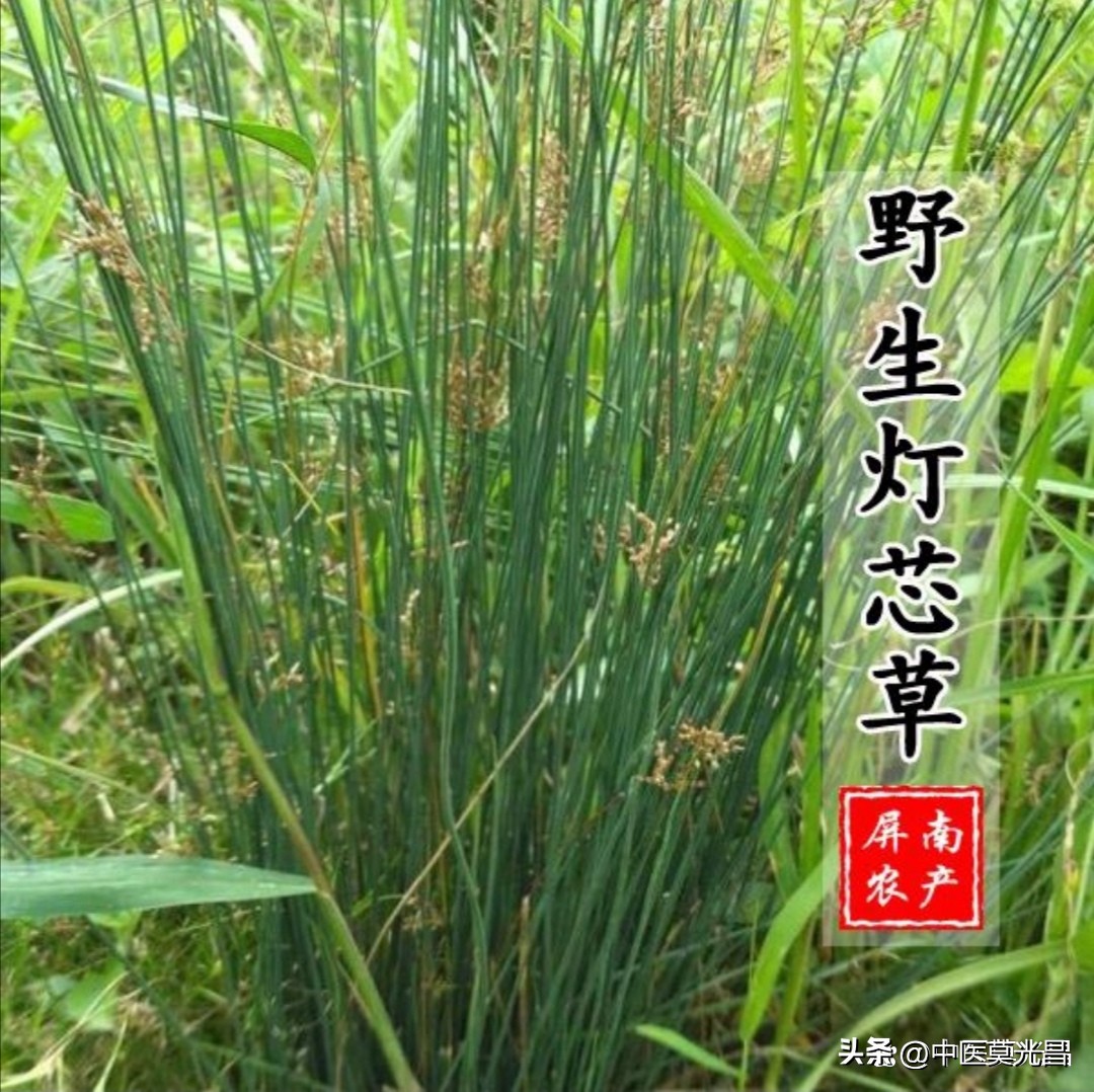 Why does the child always wet the bed? An experience for your reference