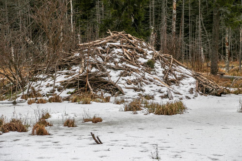 Peng Dehuai attaches great importance to food, and everything stems ...