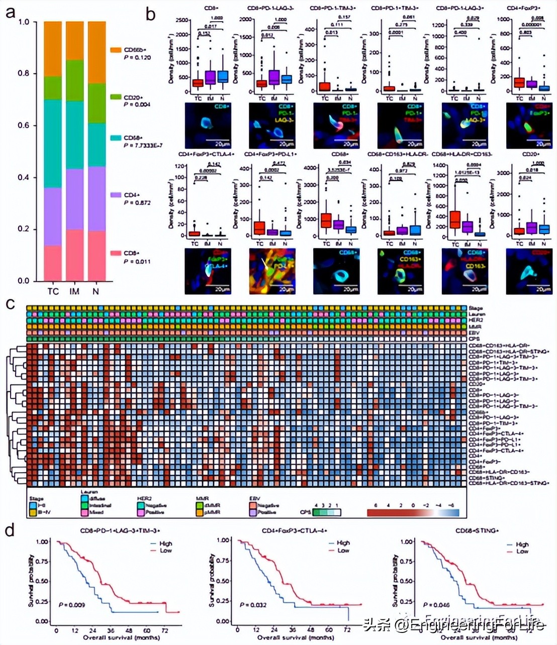 Prediction of gastric cancer response through multidimensional analysis ...
