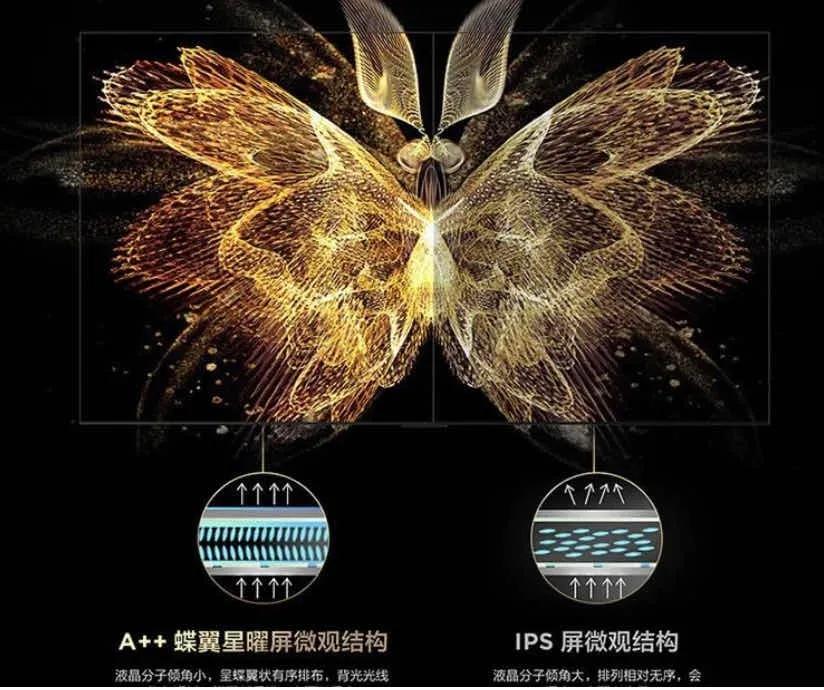 What are the advantages of Mini LED TV iNEWS