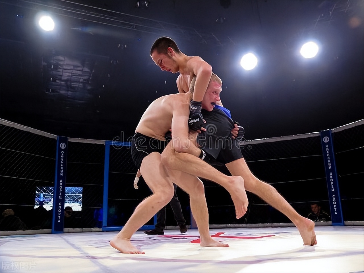 The Influence of Martial Arts on Physical and Mental Health A