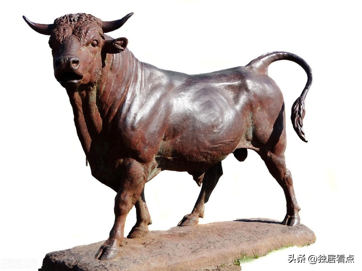 Bulls and Historical Figures Qin Shihuang and the "Bronze Bull" iNEWS