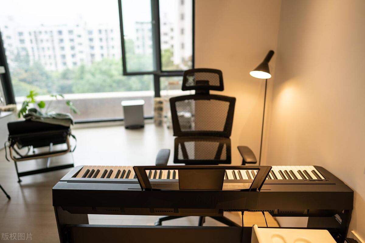 What is the best price for an electric piano? How to choose an electric piano with better cost