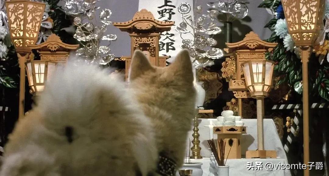 《忠犬八公》日本版VS美國版VS中國版-2:八公感知教授之死 - 資訊咖