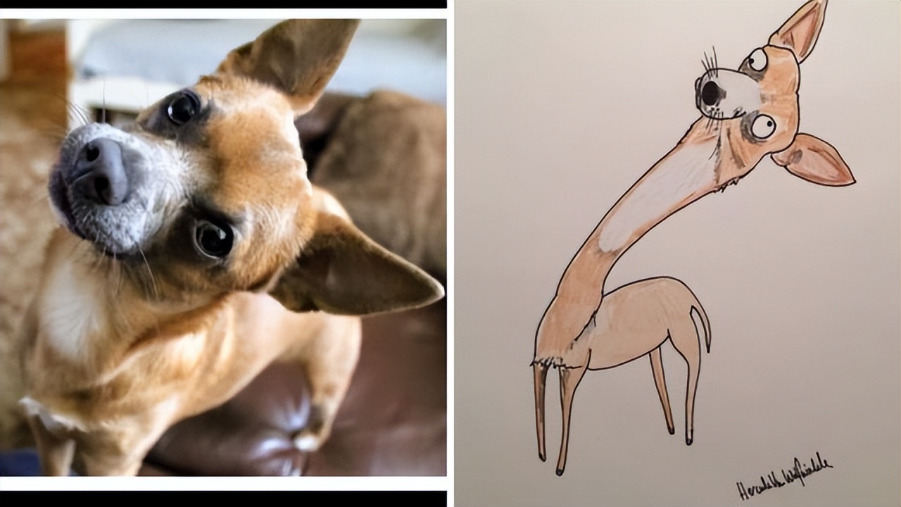 搞笑塗鴉讓他成網紅，為無家可歸者籌集不少錢，作品供不應求