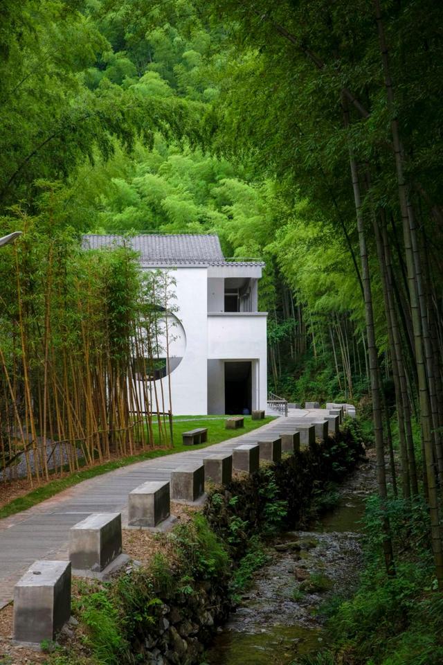 黃山也有綠意盎然的竹海，在木坑竹海享受夏日的詩情畫意 - 資訊咖