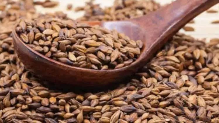 Study of cellulose in barley advances understanding of its role in ...