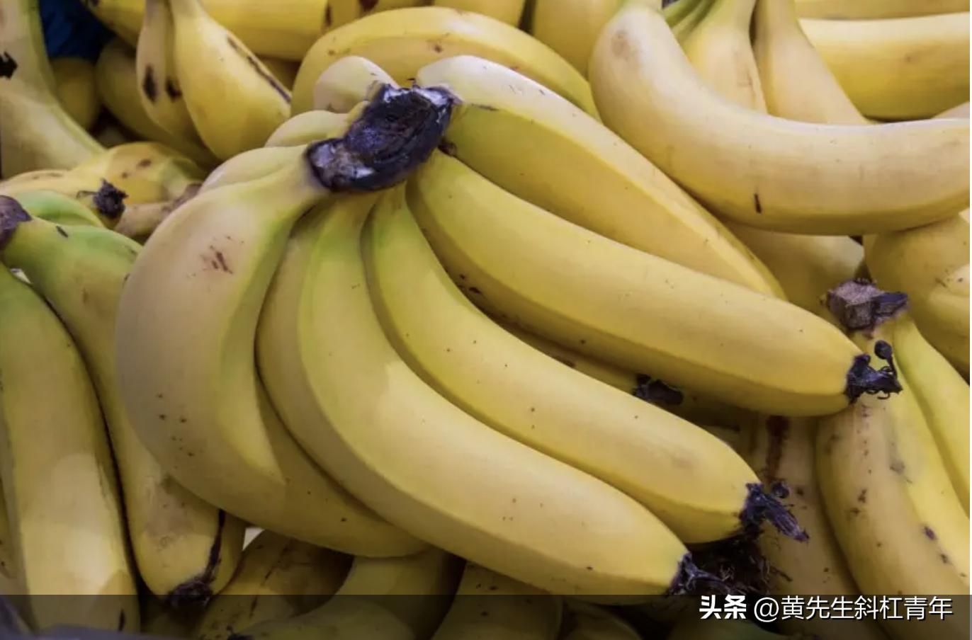 The Science Behind Bananas - iNEWS